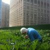 Stalled Construction Site Becomes Lush Urban Farm